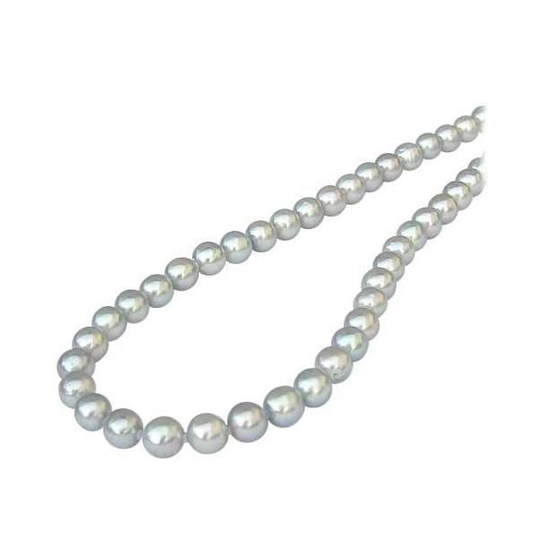 p[ lbNX p[lbNX ^ lbNX OlbNX {^ Vo[O[n  tH[} v[g Mtg 