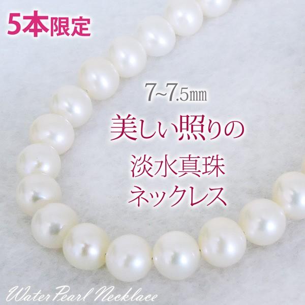 ^ lbNX p[lbNX S43cm Wp[ W^ 7-7.5mm fB[X tH[} [ lC v[g Mtg J  pu