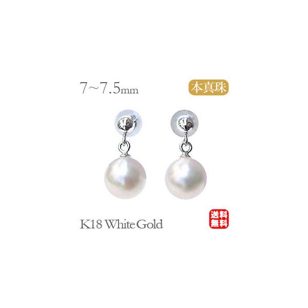 p[sAX 18 p[ sAX 18k AR{^ zCgS[h Ԃ牺 fB[X  h  v[g Mtg J  pu