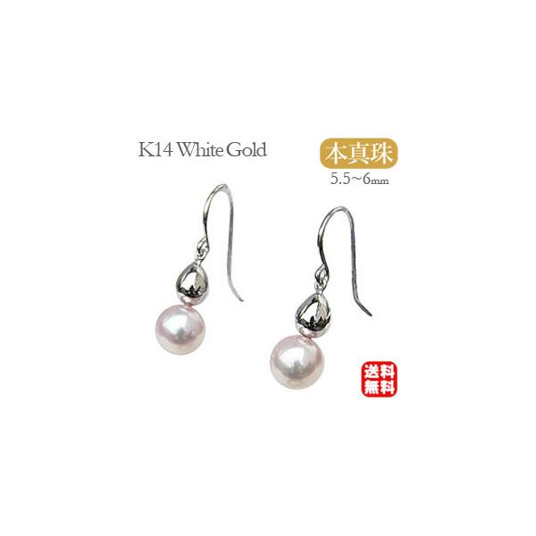 p[sAX 18 p[ sAX 18k ^ tbN {^ zCgS[h Ԃ牺  h  v[g Mtg  pu