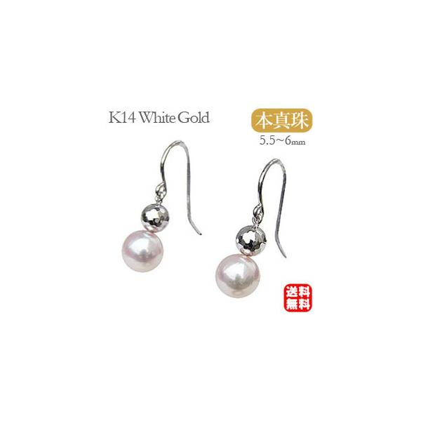 p[sAX 18 p[ sAX 18k ^ tbN {^ zCgS[h Ԃ牺  h  v[g Mtg  pu