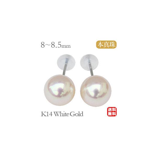 p[ sAX p[sAX ^sAX X^bhsAX ^ {^ 8mm-8.5mm zCgS[h k14  tH[} v[g J  pu