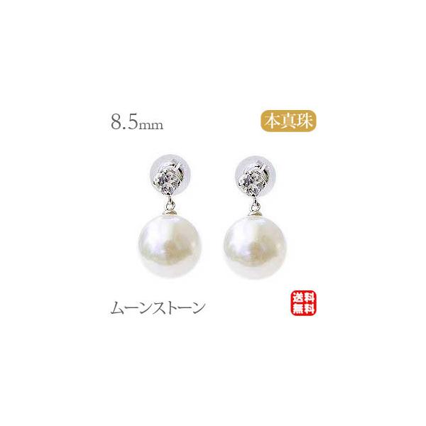 p[ sAX 18 18k ^ AR{^ [Xg[ [Xg[ k18 zCgS[h  h  v[g Mtg  pu