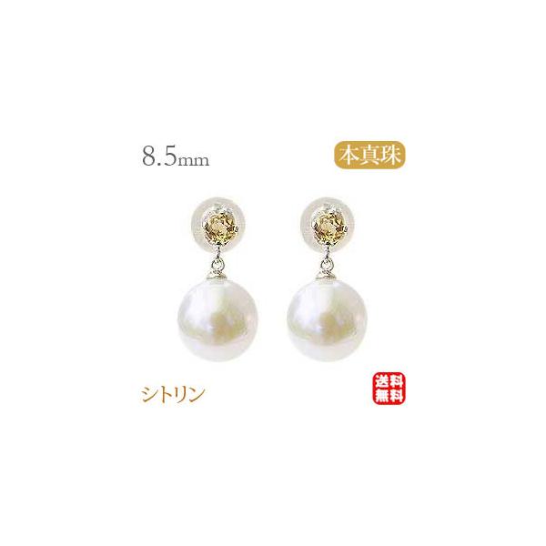 p[ sAX 18 18k AR{^ Vg 8.5mm zCgn {^ 11̒a Ԃ牺  h  v[g Mtg pu