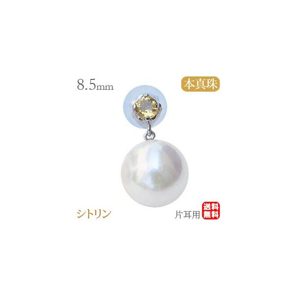 p[sAX 18 p[ sAX 18k {^ Ўp zCgS[h Vg Ԃ牺  h  v[g J  pu