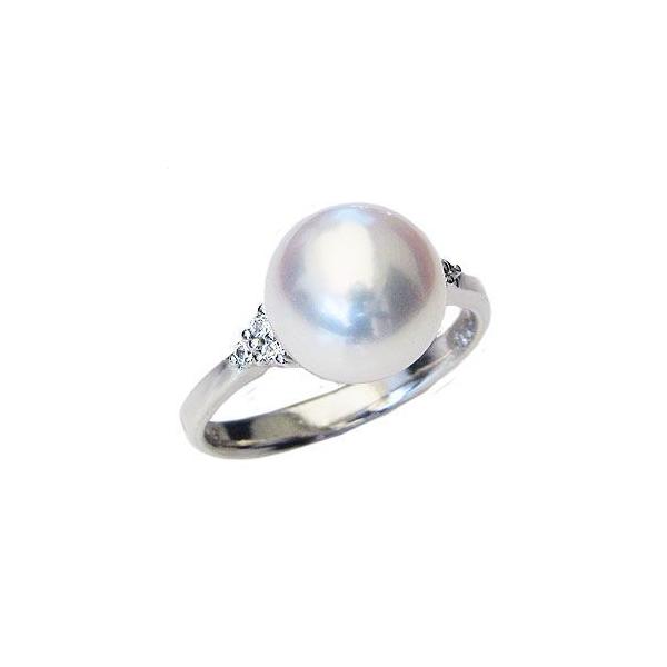 p[O ig p[ O v`i ^ w {^  fB[X _Ch  ۏ؏t v[g Mtg J  pu