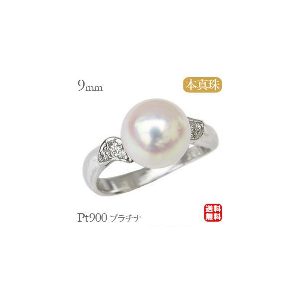 p[O ig p[ O v`i ^ w {^  fB[X _Ch  ۏ؏t v[g Mtg J  pu