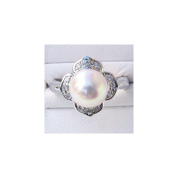 p[O ig p[ O v`i ^ w {^  _Ch fB[X  v[g Mtg J  pu