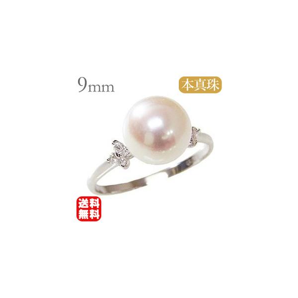 p[O ig p[ O v`i pt900 ^ w {^ _Ch   ۏ؏t t v[g Mtg J  pu