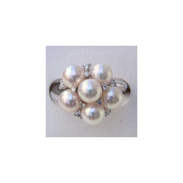 p[O ig p[ O ^샊O ^ w {^ zCgS[h_Ch fB[X  v[g Mtg  pu