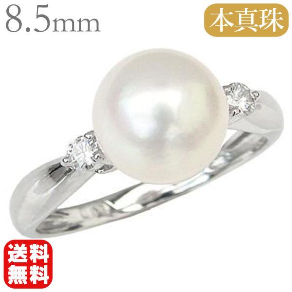 v`i p[ O ig ^w pt900 {^  AR 8.5mm _Ch fB[X Vv  v[g Mtg  pu