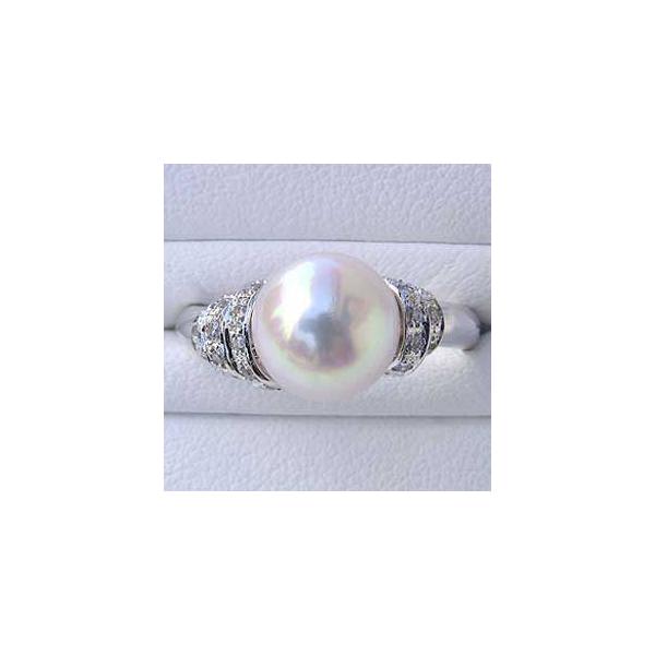 p[O ig p[ O ^ ^샊O _Ch zCgS[h   v[g Mtg J  pu