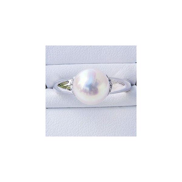 p[O ig p[ O fB[X ^ _Ch zCgS[h   v[g Mtg J  pu