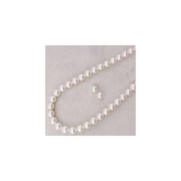 p[ lbNX p[lbNX ^lbNX sAX p[Zbg  AR {^ 2_Zbg 8-8.5mm  v[g Mtg 