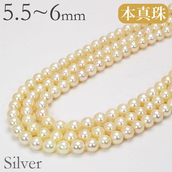 p[ lbNX OlbNX ^lbNX 140cm {^ 5.5-6mm  AR jZbNX  v[g Mtg J 