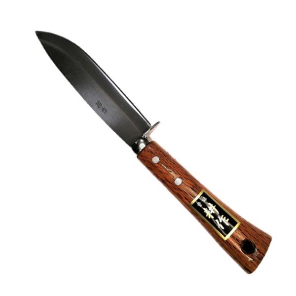 shinjurohonpo_stg-00183