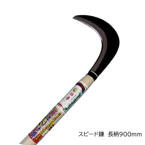 shinjurohonpo_stg-00835