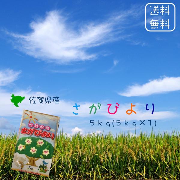 ※夏セール※【選べる精米／白米・玄米・分づき米】 佐賀県産 さがびより ５ｋｇ (５ｋｇ×１袋) 令和７年 送料無料 食味ランキング 「特A」１６年連続受賞
