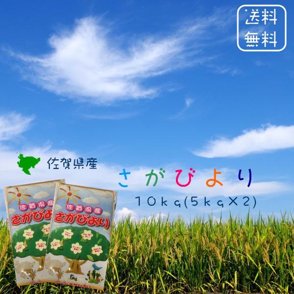 ※夏セール※【選べる精米／白米・玄米・分づき米】 佐賀県産 さがびより １０ｋｇ (５ｋｇ×２袋) 令和７年 送料無料 食味ランキング 「特A」１６年連続受賞