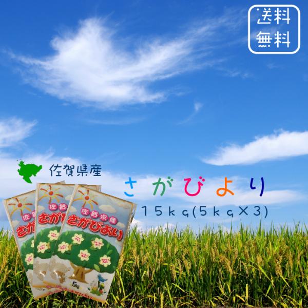 ※夏セール※【選べる精米／白米・玄米・分づき米】 佐賀県産 さがびより １５ｋｇ (５ｋｇ×３袋) 令和７年 送料無料 食味ランキング 「特A」１６年連続受賞