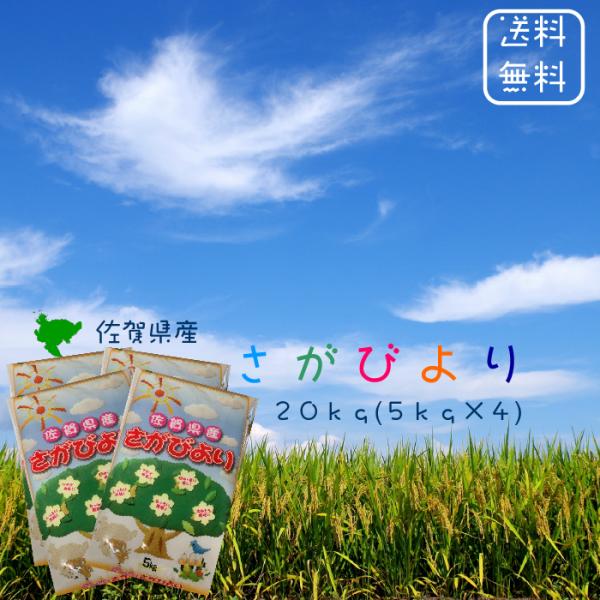 ※夏セール※【選べる精米／白米・玄米・分づき米】 佐賀県産 さがびより ２０ｋｇ (５ｋｇ×４袋) 令和７年 送料無料 食味ランキング 「特A」１６年連続受賞