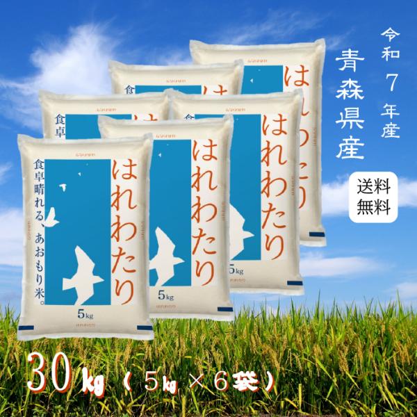 ※夏セール※【選べる精米／白米・玄米・分づき米】 はれわたり 30kg（5ｋ×6袋） 青森県産 送料無料 令和7年産 2025年産 白米 お米 おこめ お米30kg 30キロ