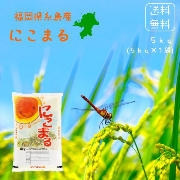 ※夏セール※【選べる精米／白米・玄米・分づき米】 にこまる 5kg（5ｋ×1袋） 福岡県糸島産 送料無料 令和7年産 2025年産  白米 お米 おこめ お米5kg 5キロ