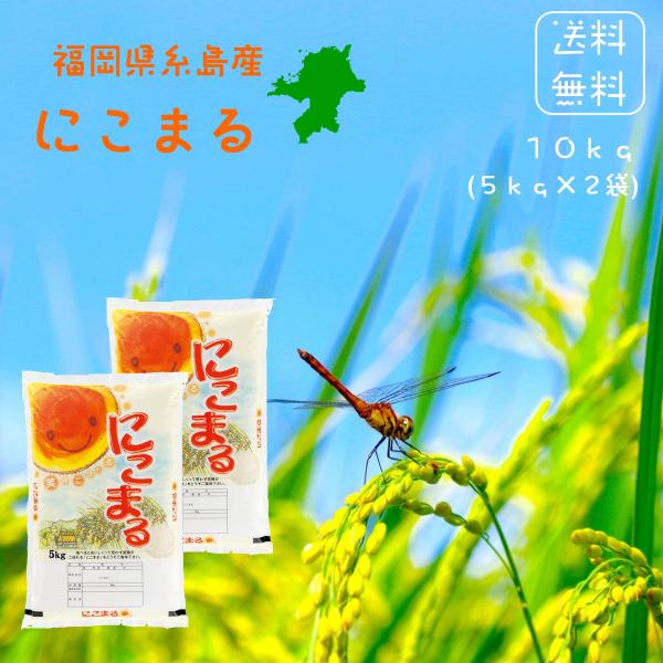 ※夏セール※【選べる精米／白米・玄米・分づき米】 にこまる 10kg（5ｋ×2袋） 福岡県糸島産 送料無料 令和7年産 2025年産  白米 お米 おこめ お米10kg 10キロ