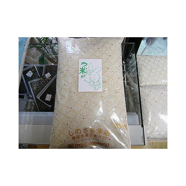 国内産１００％　う米米（うまいこめ）１０ｋｇ
