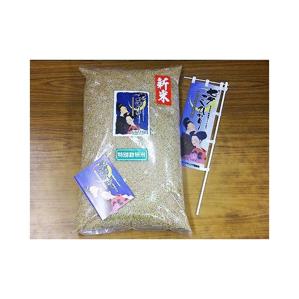 令和８年　佐賀県白石地区産　特別栽培　『七夕コシヒカリ』　３ｋｇ
