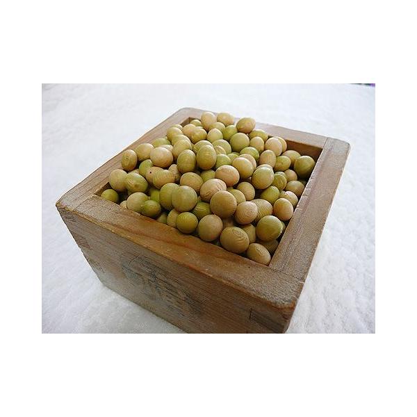 平成２５年産　手作り味噌材料　北海道産　減農薬　特別栽培大豆大袖の舞　１ｋｇ