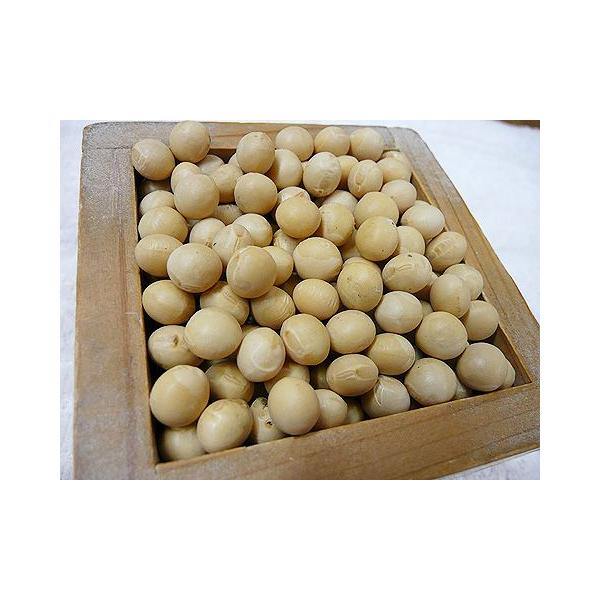 ߘaTNY@kCY@_@w엿@i`rL@͔|哤Ƃ܂@RO