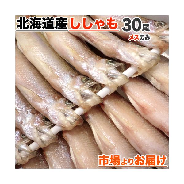 北海道産 本ししゃも メス30尾 4個まで同梱可 本物ししゃも ししゃも シシャモ 柳葉魚 鵡川 道産ししゃも 干物 魚 正月 歳暮 お正月 お歳暮 年末 年末年始 Uosu O Mukawasisyamomesu001 ウオス進風水産直営店 通販 Yahoo ショッピング