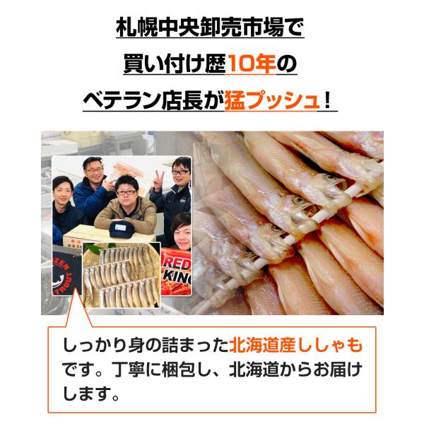 北海道産 本ししゃも オス30尾 4個まで同梱可 本物ししゃも ししゃも シシャモ 柳葉魚 鵡川 道産ししゃも ギフト 贈答 母の日 父の日 ギフト 干物 魚 Www Legheleggere Com