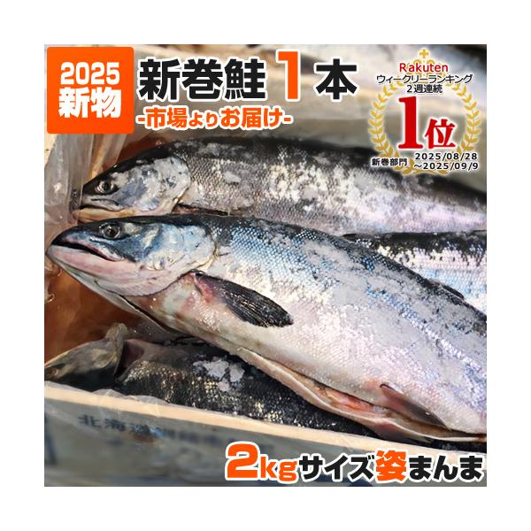 新巻鮭 2kg 1尾 北海道 日高沖産 塩鮭 姿 鮭 北海道産 えりも岬 一本もの シャケ しゃけ サケ さけ 国産 父の日 結婚記念 結婚祝い ジューンブライド Buyee Buyee Japanese Proxy Service Buy From Japan Bot Online