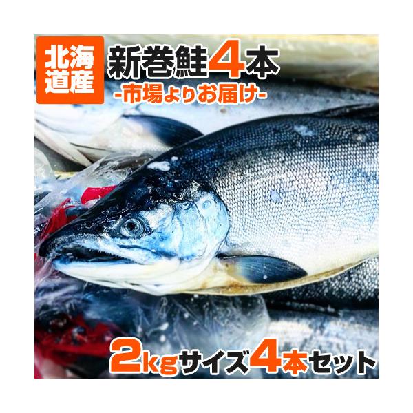 計8kg 新巻鮭 2kg×4尾 送料0円 塩鮭 鮭 中辛 北海道産 塩引き鮭