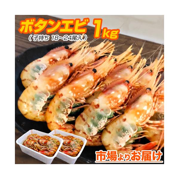 子持ち ボタンエビ 1kg 18尾前後 Bfl 北海道 お取り寄せ 海老 ぼたんえび エビ 北海道のエビ 大きいエビ えび お花見 ゴールデンウィーク こどもの日 母の日 Buyee Buyee Japanese Proxy Service Buy From Japan Bot Online