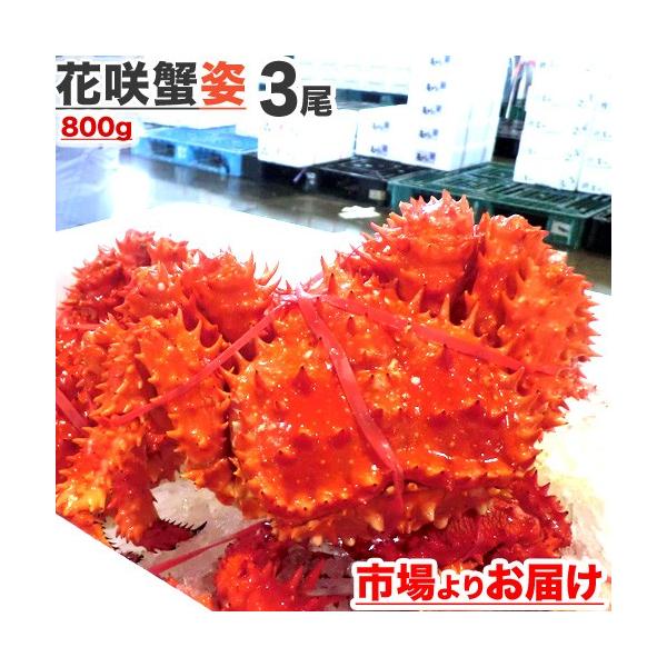 花咲ガニ 800g 3尾 【 送料無料 】 花咲がに ハナサキガニ 花咲蟹 カニ かに 蟹 はなさきがに 花咲 敬老の日 収穫祭 御歳暮 お歳暮
