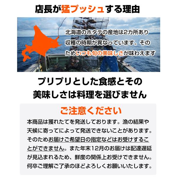 お取り寄せグルメ 北海道産 活ホタテ 7kg 30枚前後 北海道 道産 ホタテ 帆立 ほたて 貝付きホタテ 殻付きホタテ 貝付 殻付 活帆立 北海道 ホタテ 貝付ホタテ Www Ktoridesfoundation Org