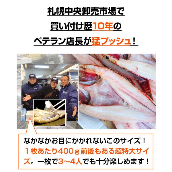 特大 きんき開き 400g前後 1尾 北海道直送 ギフト グルメ 高級魚 キンキ 吉次 一夜干し きんき 干物 開き魚 父の日 結婚記念 結婚祝い ジューンブライド Buyee Buyee Japanese Proxy Service Buy From Japan Bot Online