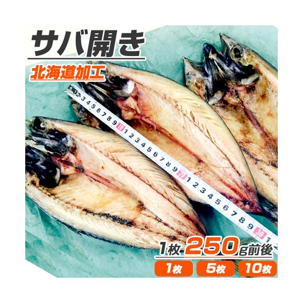 サバ開き 1枚 10枚まで同梱可 ふっくらジューシー鯖 さば 一夜干し 干物 サバ ギフト 夏 お盆 帰省 手土産 北海道産の魚 さば開き さば 開き魚 Buyee Buyee Japanese Proxy Service Buy From Japan Bot Online