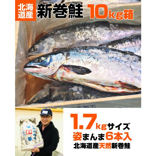 業務用 塩漬け 新巻鮭 北海道産 10kg 5尾 塩鮭 塩引き鮭 鮭 秋鮭 しゃけ サケ さけ 産地直送 1本 水産仕入れ シェア プレゼント ゴールデンウィーク Buyee Buyee Japanese Proxy Service Buy From Japan Bot Online