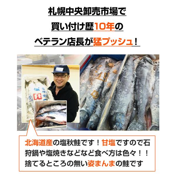 業務用 塩漬け 新巻鮭 北海道産 10kg 5尾 塩鮭 塩引き鮭 鮭 秋鮭 しゃけ サケ さけ 産地直送 1本 水産仕入れ シェア プレゼント お歳暮 お正月 歳暮 正月 Buyee Buyee Japanese Proxy Service Buy From Japan