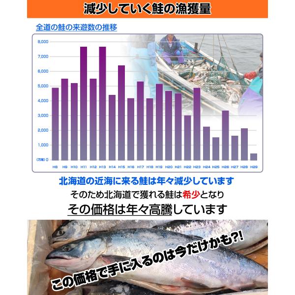 業務用 塩漬け 新巻鮭 北海道産 10kg 5尾 塩鮭 塩引き鮭 鮭 秋鮭 しゃけ サケ さけ 産地直送 1本 水産仕入れ シェア プレゼント ゴールデンウィーク Buyee Buyee Japanese Proxy Service Buy From Japan Bot Online