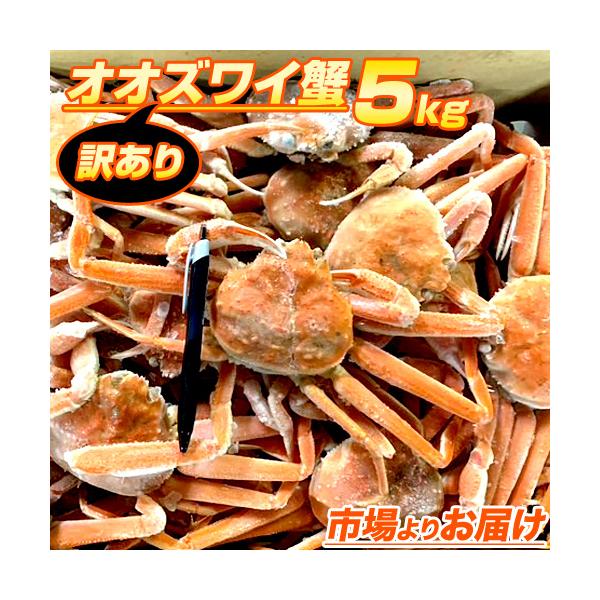 北海道産活オオズワイガニ　大サイズ　訳あり品 楽天市場】オオズワイガニ メス 活 訳あり 北海道産 4kg（約13