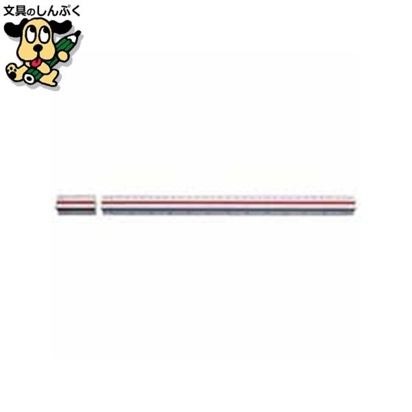 三角スケール プラ製30cm副尺付1-882-0009 ウチダ