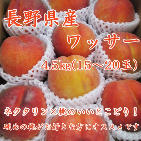長野県産 ワッサー4.5kg(15〜20玉) No.186 : 信州旬彩果房 - 通販 
