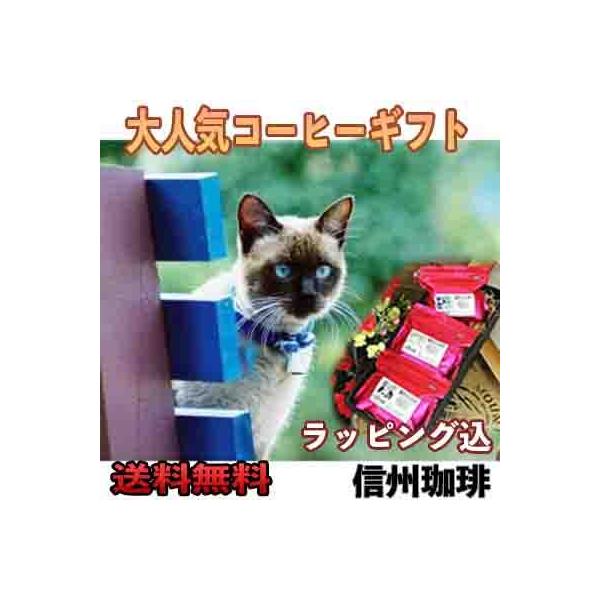 ̓ Mtg 2024 R[q[  Zbg R[q[ bsO ̂ 킢L bsO㍞  60 70 䒆 MB