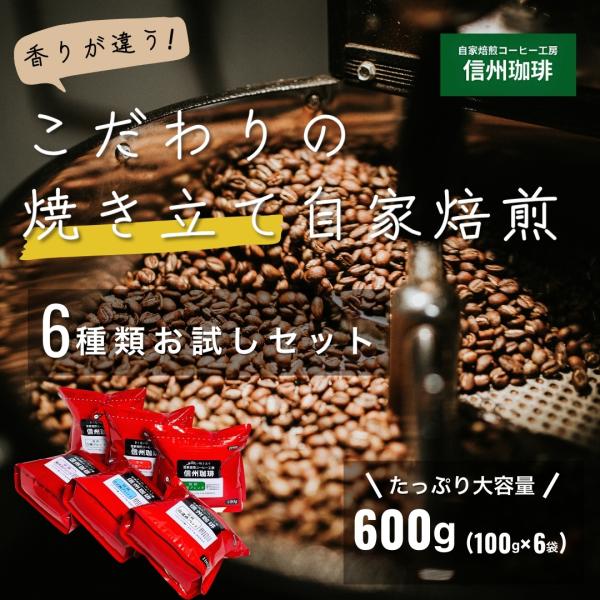 信州珈琲 コーヒー 福袋 お試し コーヒー豆 ドリップコーヒー ブレンド100g×6種 合計600g 送料無料(沖縄・離党は追加送料400円)
