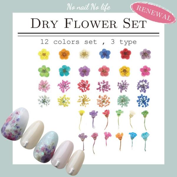 ネイルパーツ 業務用 小さめドライフラワー 12色セット 3種 大量約100 1枚入 ケース付 Buyee Servis Zakupok Tretim Licom Buyee Pokupajte V Yaponii